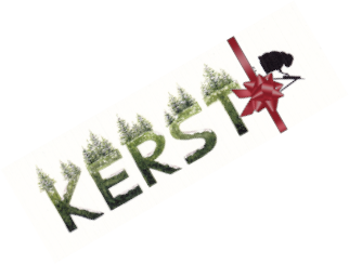 Kerstboekenlegger cadeau